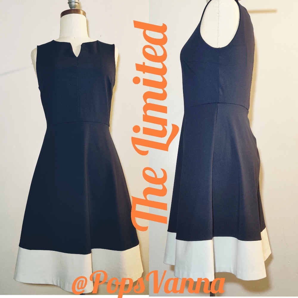 The Limited Navy Blue Sleeveless Dress